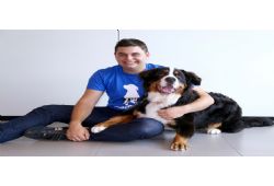 La fondation Asista : sauver des vies canines, soutenir des humains