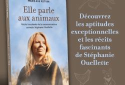 Stéphanie Ouellette : elle parle aux animaux