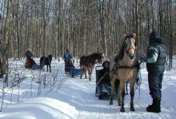 L'Auteuilloise Farm in Winter 